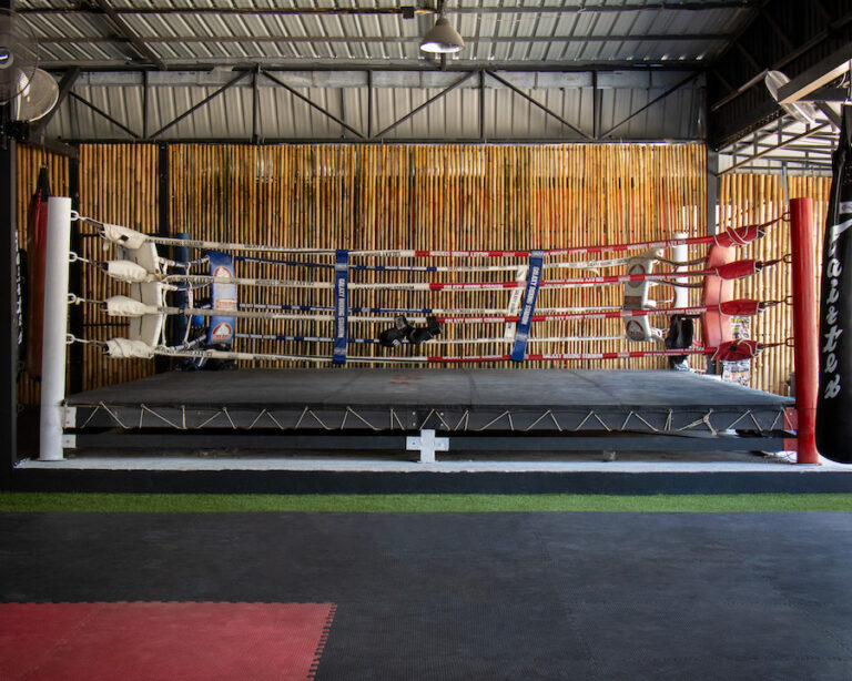 Wetern Boxing & Muay Thai Sparring Ring