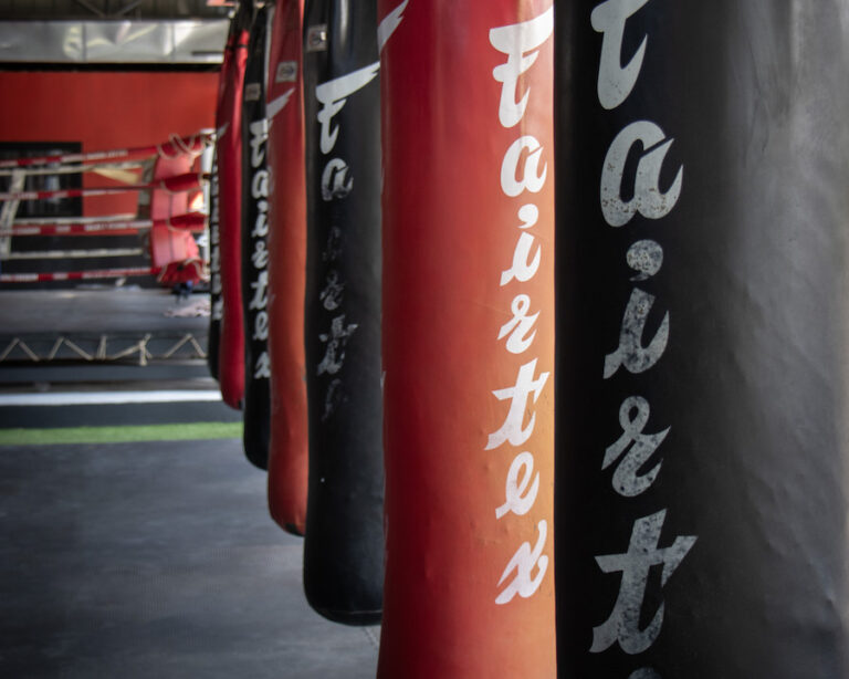 Multiple Bags for Western Boxing & Muay Thai